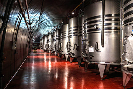 Wineries in NZ need Dehumidifiers
